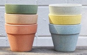 Pot - Terracotta Coloured