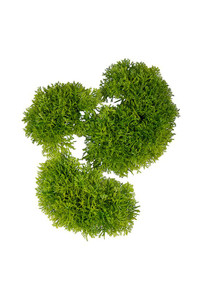 Foliage - Moss Shapes S3