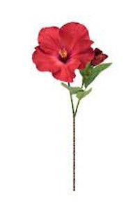 Hibiscus - Red Spray 66cm