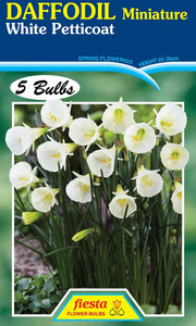 Daffodil 'White Petticoat' 5