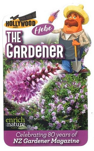 Hebe 'The Gardener' 2.5L