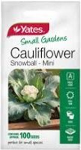 Yts - Cauliflower Snowball Min