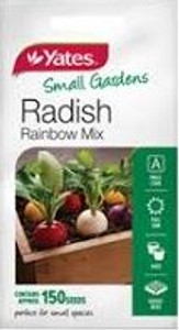 Yts - Radish Rainbow Mix S