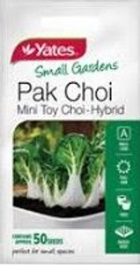 Yts - Pak Choi Mini S