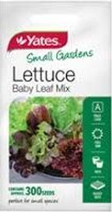 Yts - Lettuce Buttercrunch Min