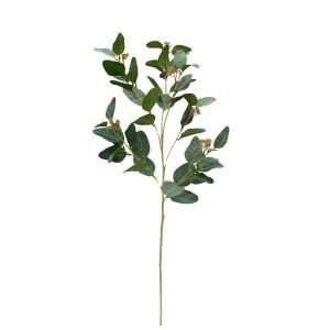 Foliage - Seeded Gum Sage Gree