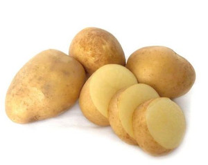 Seed Potato - Summer Delight 1