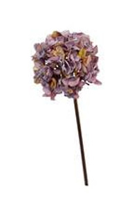 Hydrangea - Dried Look Lavende Hydrangea - Dried Look Lavende