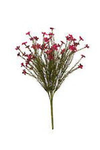 Wax Flower - Magenta Bush 40cm Wax Flower - Magenta Bush 40cm