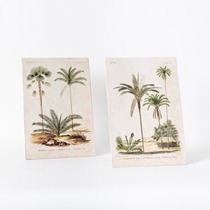 Palm Print