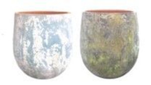 Planter - Norfolk Assorted L