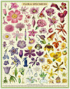 Puzzle - Flora Specimens 1000