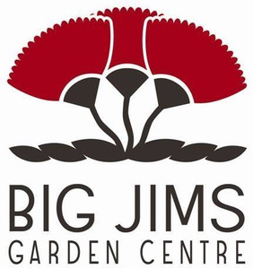 Mirror - Framed No Planter Sma