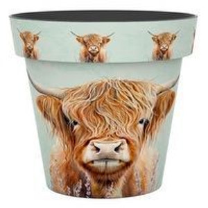 Pot - Zest Highland Cow 30cm