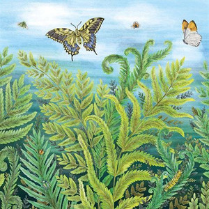 Card - Wild Ferns