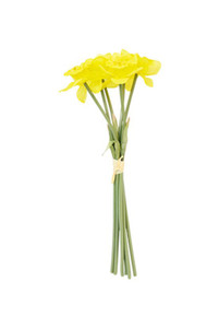 Flower Stem - Daffodil Bunch