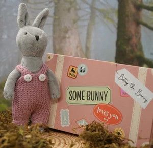 Bunny In A Box - Wild Wanderer