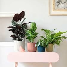 Pot - Vibes White 16cm