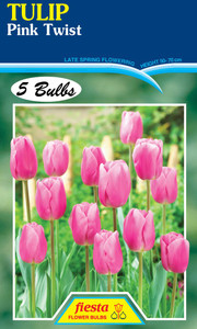 Tulip 'Pink Twist' 5