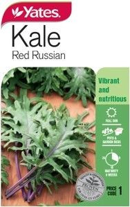 Yts Kale Red Russian - 1
