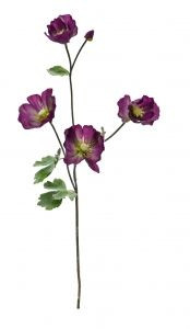 Harvest Poppy - Periwinkle