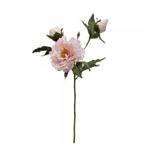 Peony Ruffled - Pink