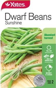 Yts Beans Dwarf Sunshine - 2