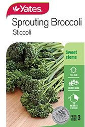 Yts Broccoli Sprouting - 3