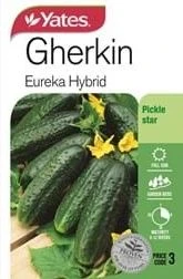 Yts Gherkin Eureka Hybrid - 3