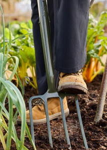 Border Fork - Boron Green RHS