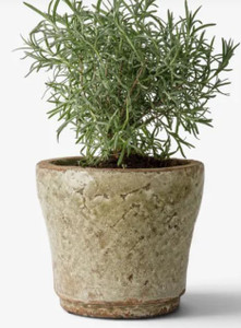 Planter - Celadon Herb