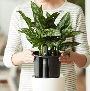 Self Watering Insert 13cm