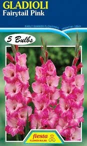 Gladioli 'Fairytale Pink' 5's