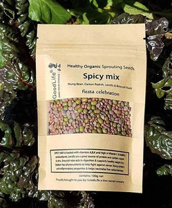 Seeds - Spicy Mix 100g