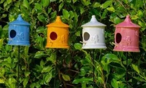 Garden Decor - Butterfly Bird