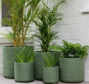 Pot - Vellum Cylinder Green S