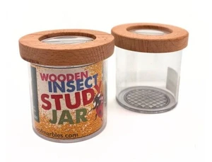 Children - Wooden Insect Study