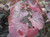 Cercis c 'Forest Pansy' PB18