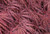 Acer p d 'Crimsson Queen' 1m 6L