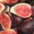 Fig 'Brunoro Black' PB18