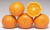 Citrus 'Mandarin Bay Sweetie' 4.7L