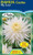 Dahlia Cactus 'My Love'