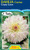 Dahlia Decorative 'Crazy Love'