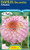 Dahlia Decorative 'Arbatax'