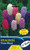 Hyacinth 'Super Mixed' 10