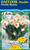 Daffodil 'Double Beauty' 5
