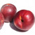 Nectarine 'Ruby Diamond' 4.7L