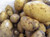 Seed Potato - Maris Anchor 3kg