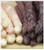 Asparagus - Pacific Purple