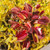 Venus Fly Trap 10cm